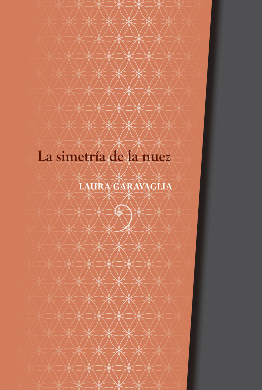 Una profonda, acuta recensione del critico José Luis Abraham López sul mio libro tradotto in spagnolo La simetría de la nuez